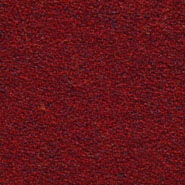 Flora 2_657  Kvadrat